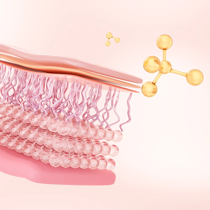 naprawa komórek macierzystych